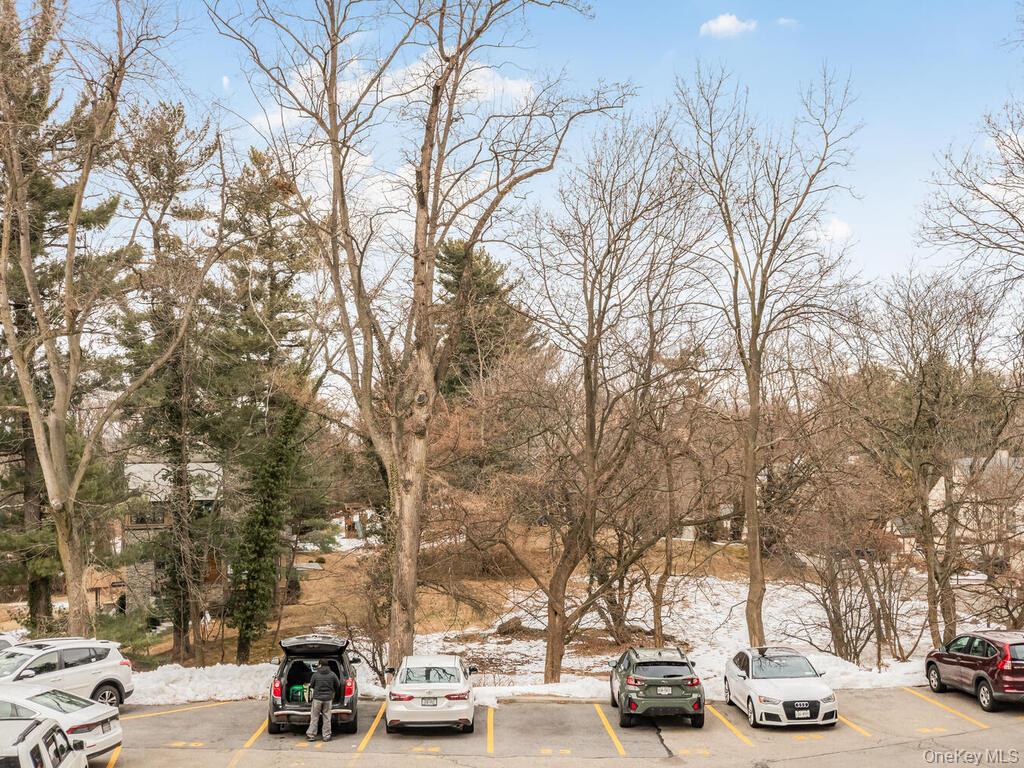 #13 photo, 679 W 239th Street, ブロンクス区 Bronx , NY 10463