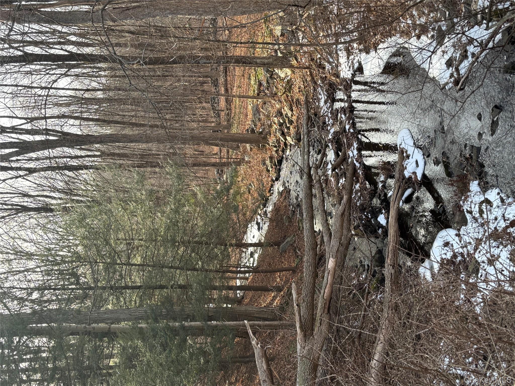 #3 photo, 201 Long Ridge Road, Bedford , NY 10506