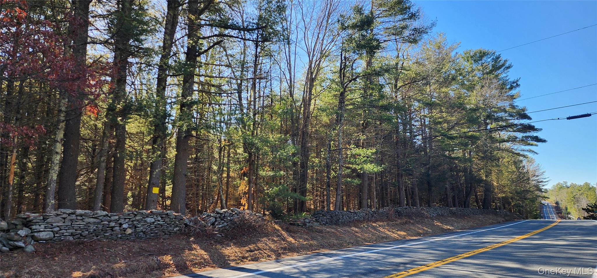 #10 photo, Stag Forest Road, Forestburgh , NY 12777