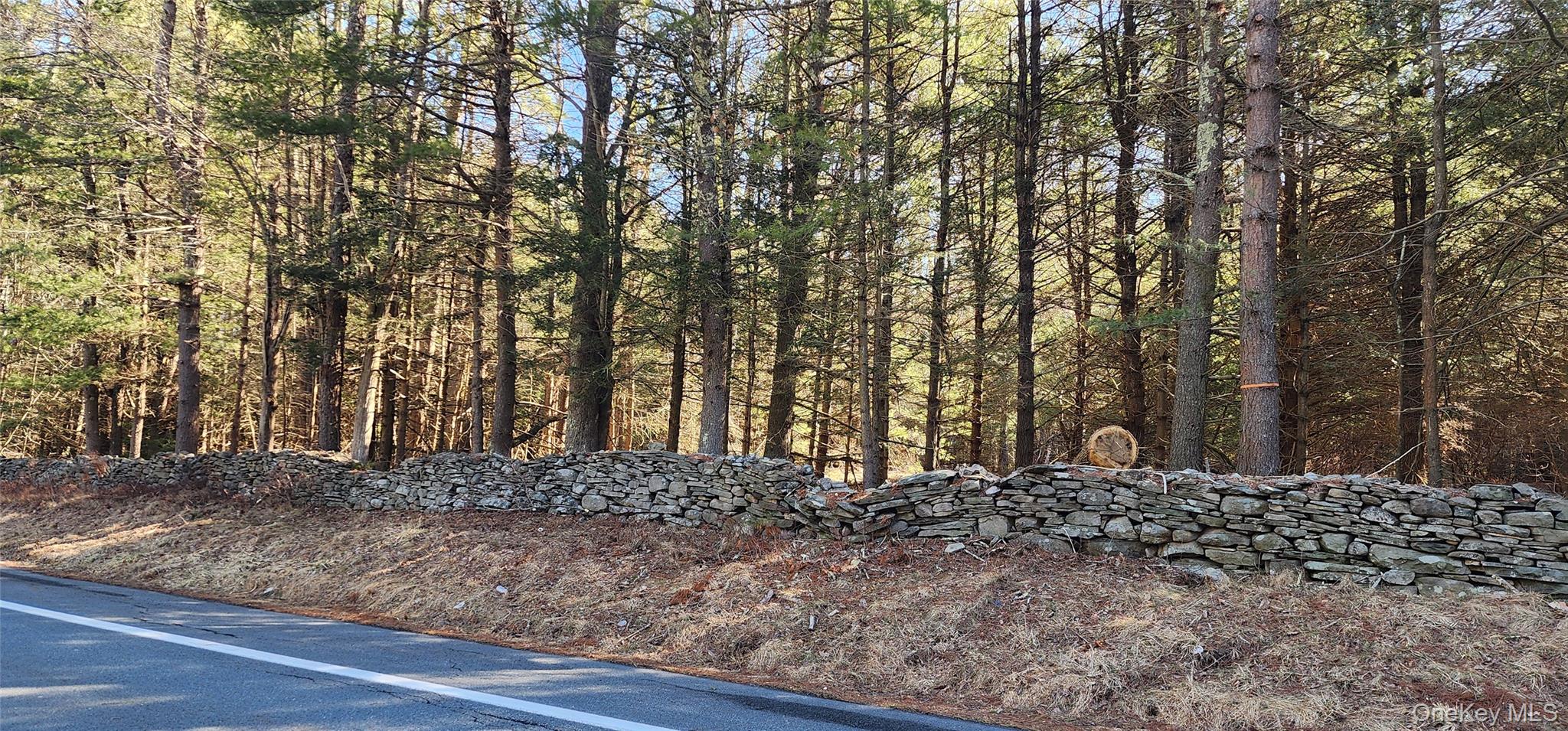 #11 photo, Stag Forest Road, Forestburgh , NY 12777