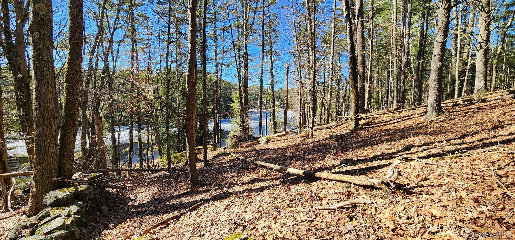 #13 photo, Stag Forest Road, Forestburgh , NY 12777