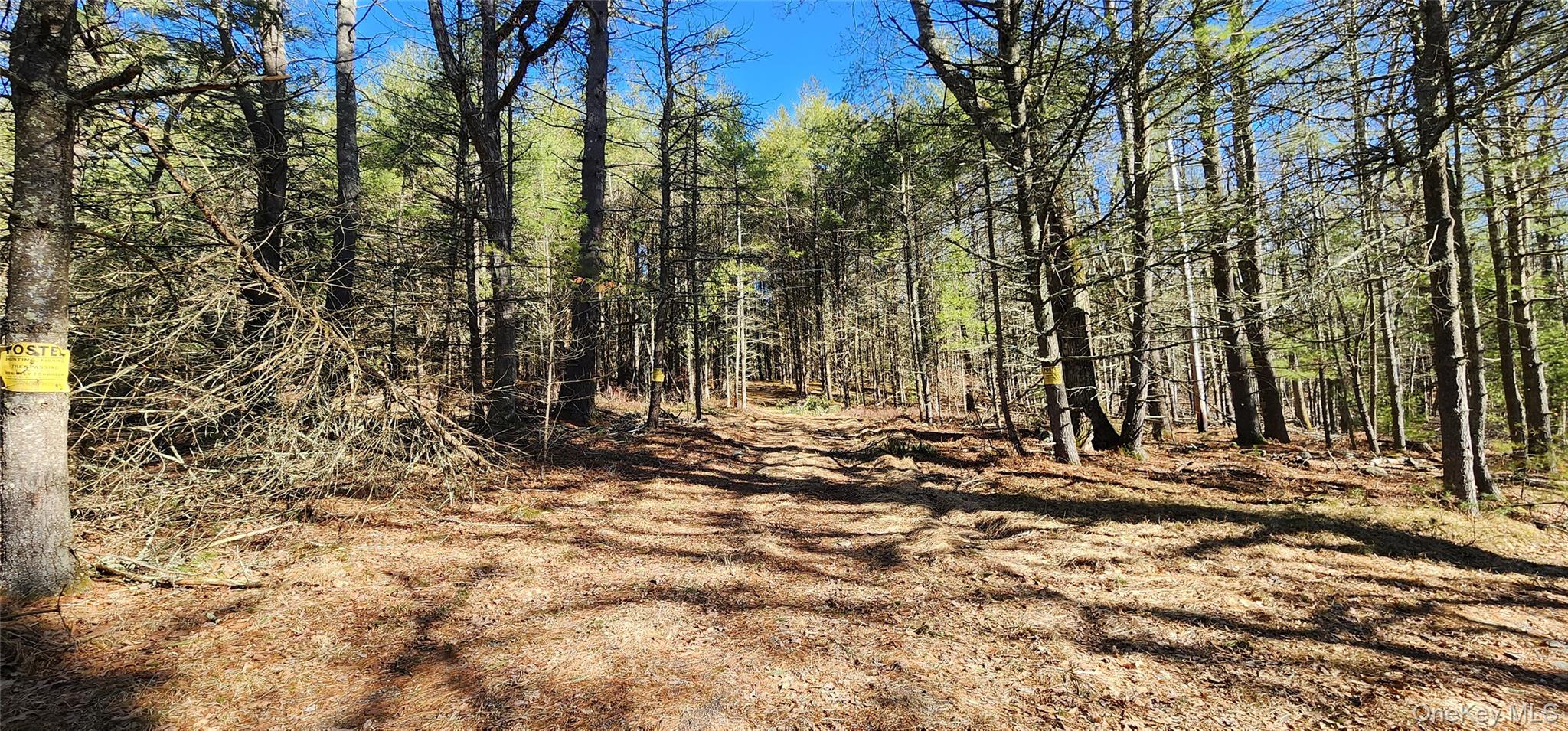 #14 photo, Stag Forest Road, Forestburgh , NY 12777