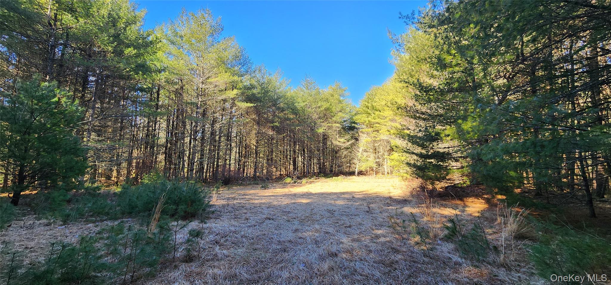 #16 photo, Stag Forest Road, Forestburgh , NY 12777