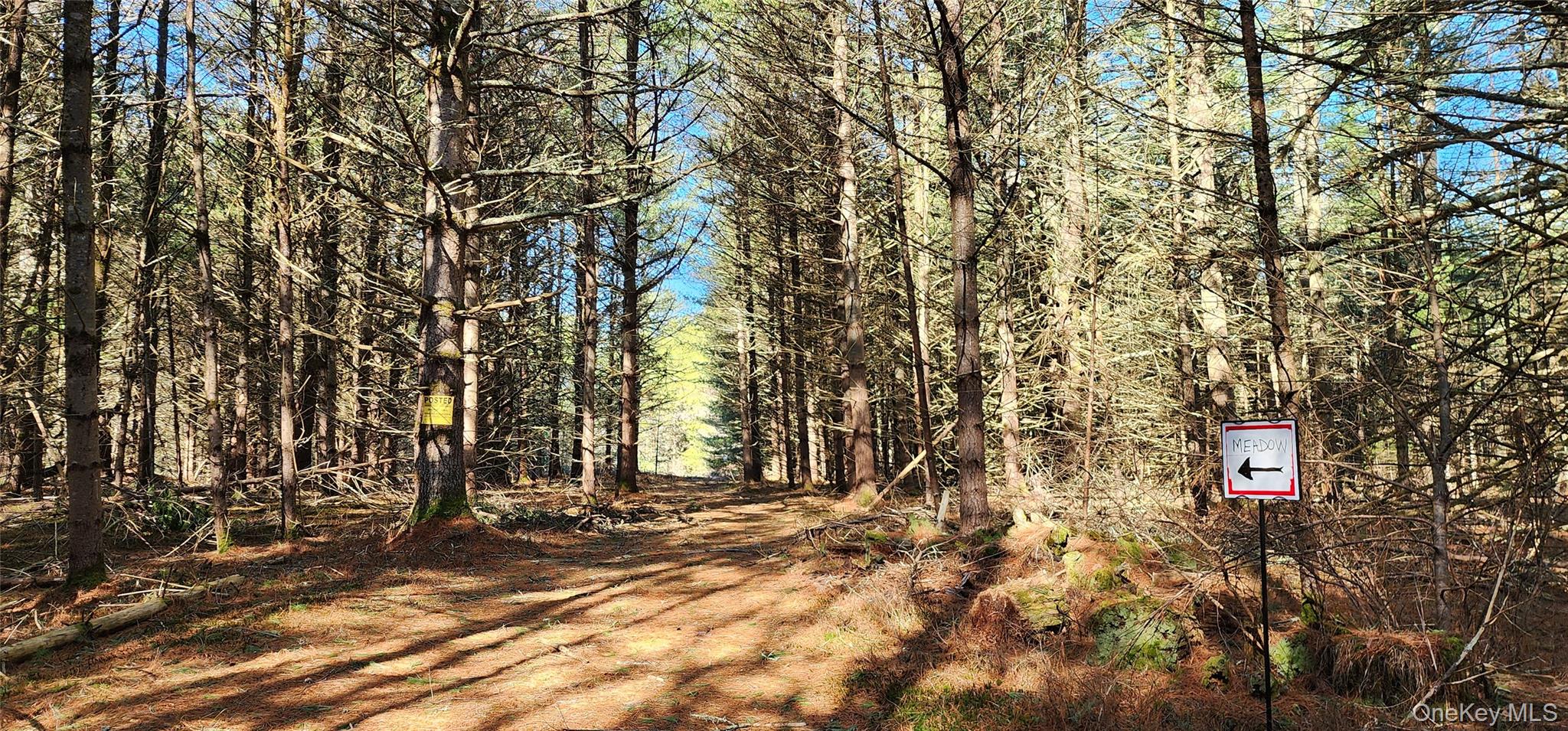 #18 photo, Stag Forest Road, Forestburgh , NY 12777