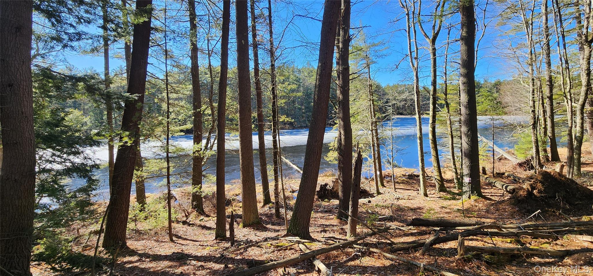 #2 photo, Stag Forest Road, Forestburgh , NY 12777