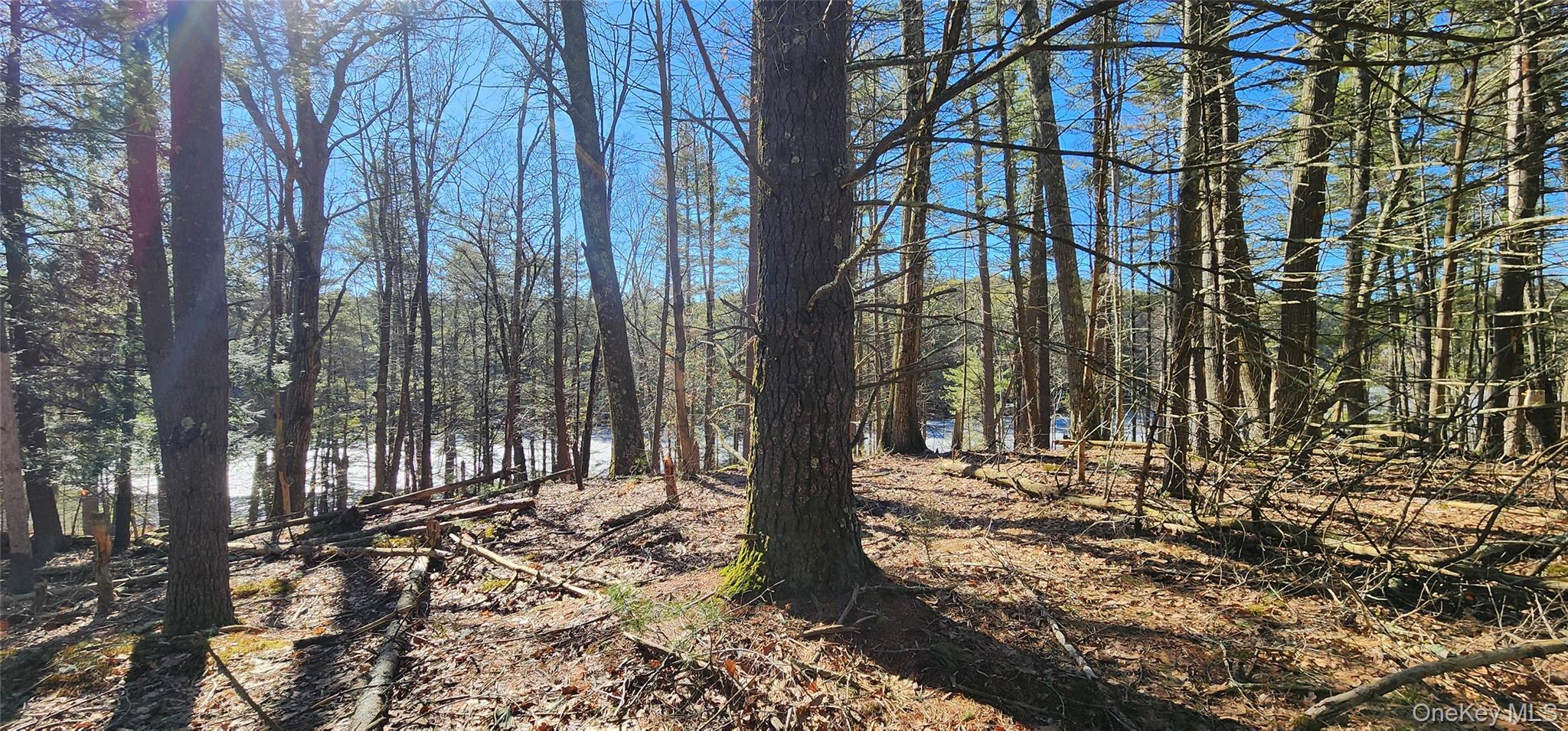 #3 photo, Stag Forest Road, Forestburgh , NY 12777