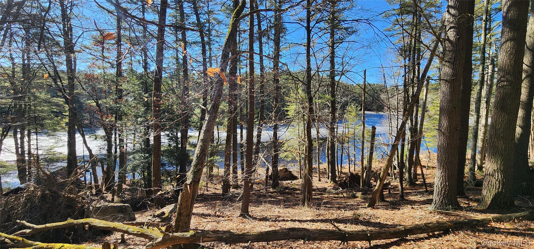 #4 photo, Stag Forest Road, Forestburgh , NY 12777