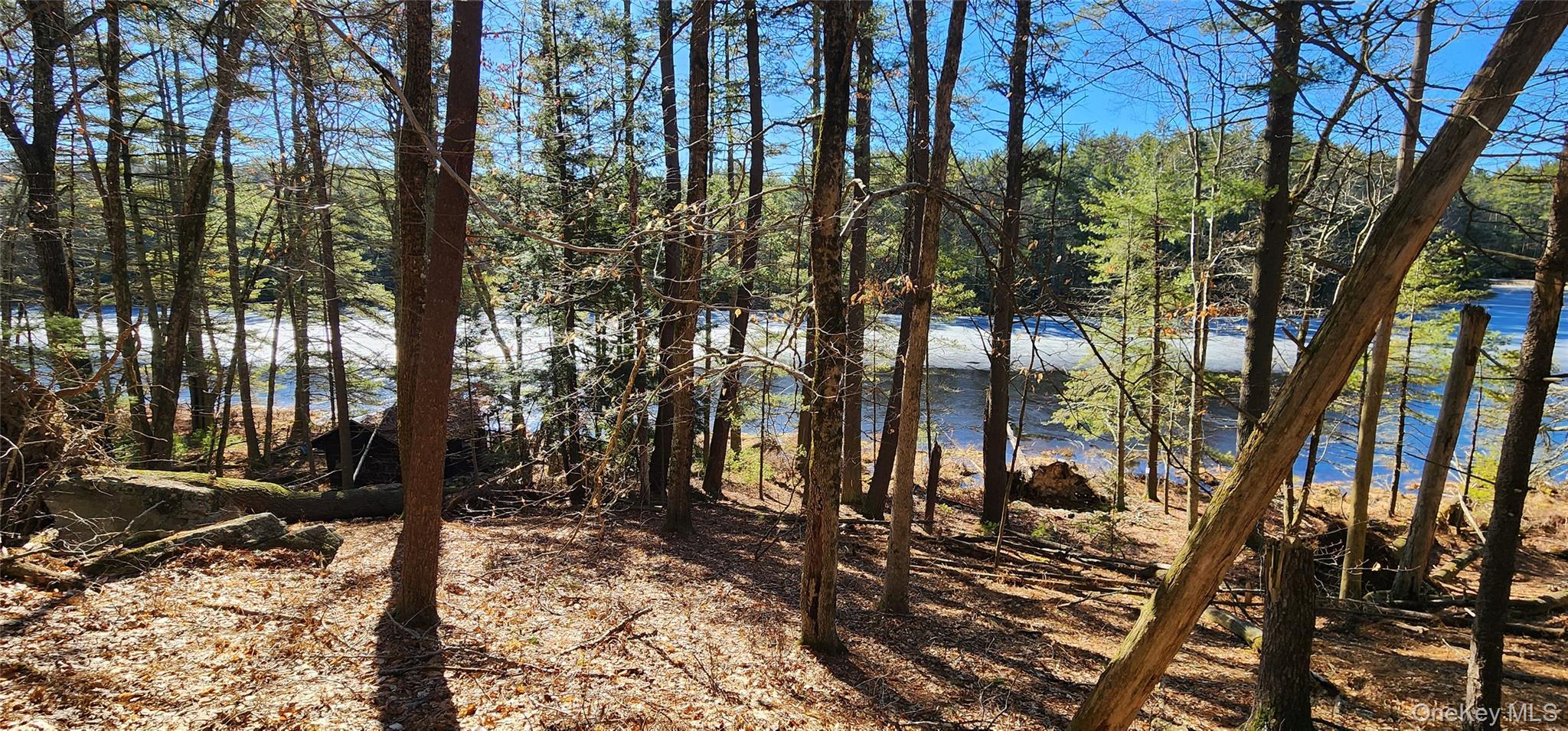 #5 photo, Stag Forest Road, Forestburgh , NY 12777