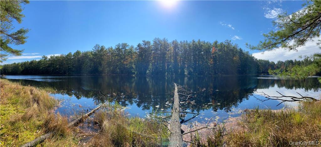 #6 photo, Stag Forest Road, Forestburgh , NY 12777