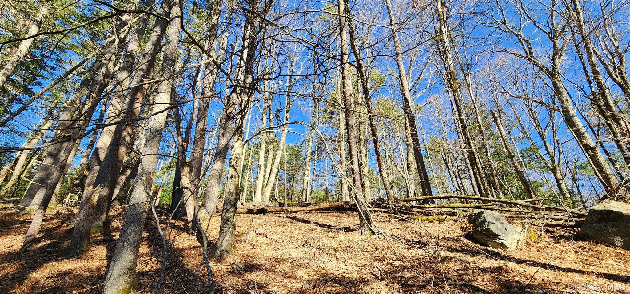 #8 photo, Stag Forest Road, Forestburgh , NY 12777