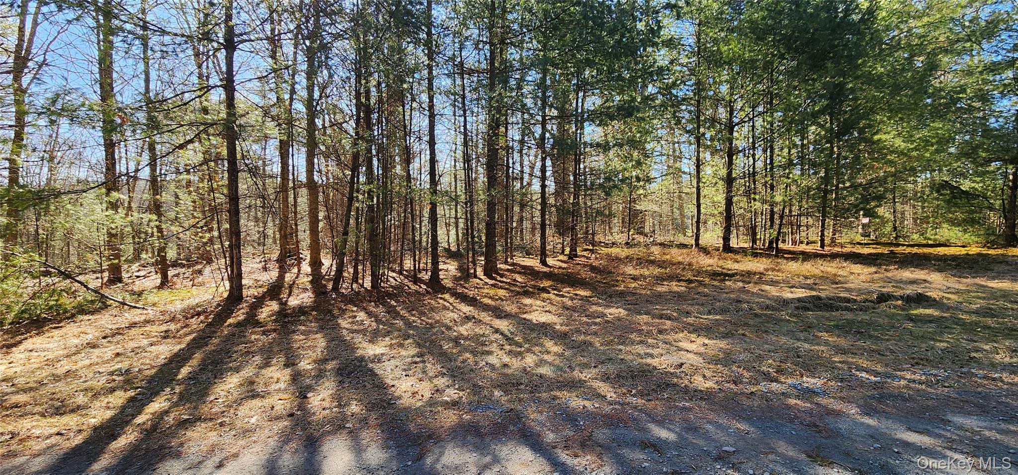 #9 photo, Stag Forest Road, Forestburgh , NY 12777