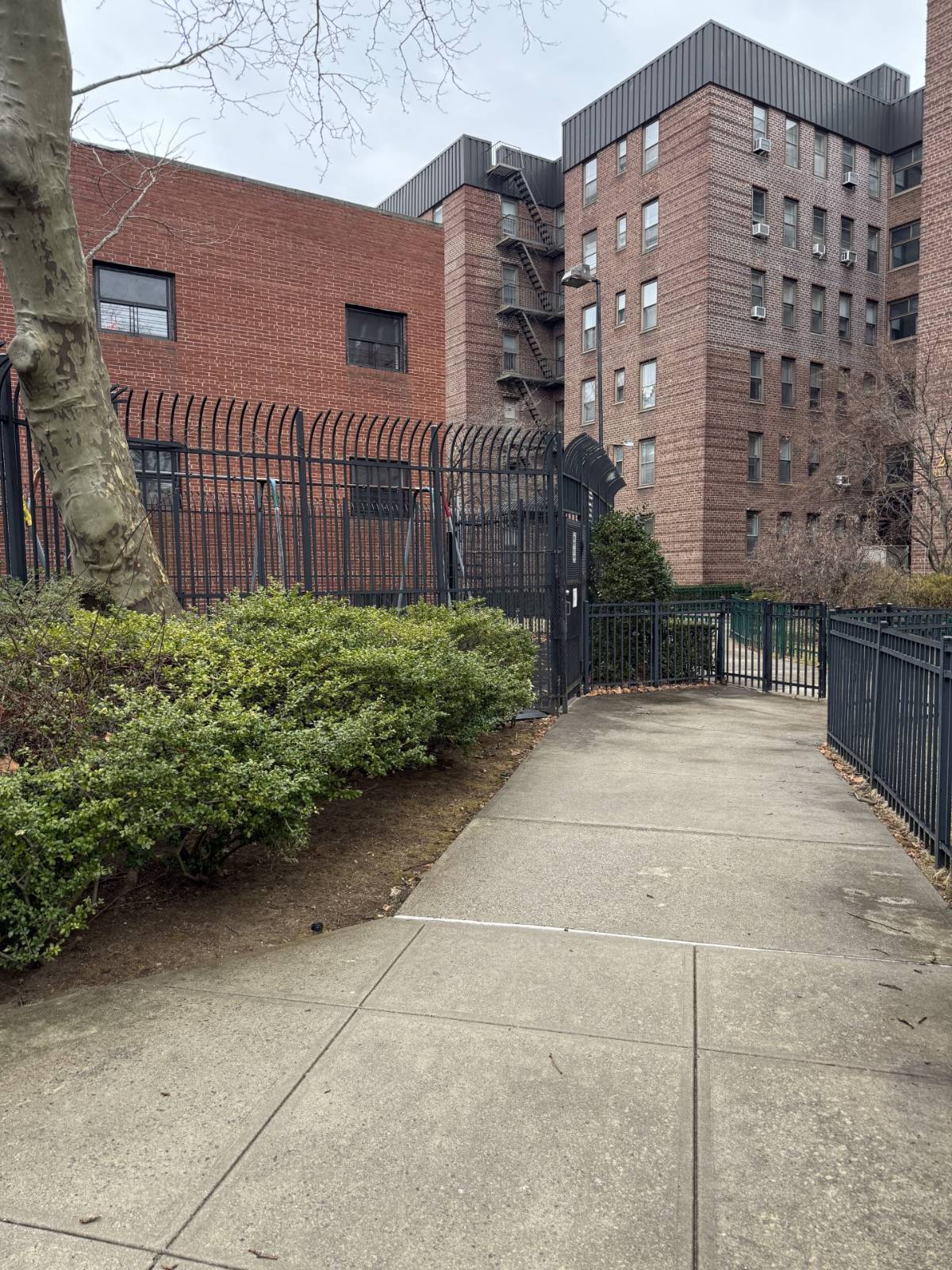 #10 photo, 2250 Brigham St, #1A, Sheepshead Bay , NY 11229