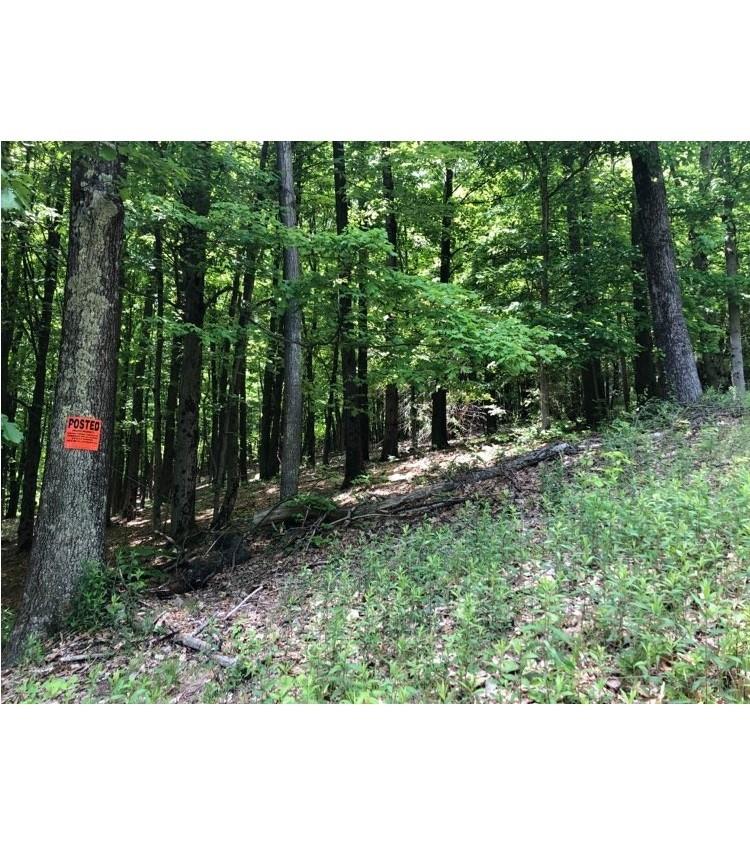 #8 photo, 84 Mountain Road, Bloomingburg , NY 12721