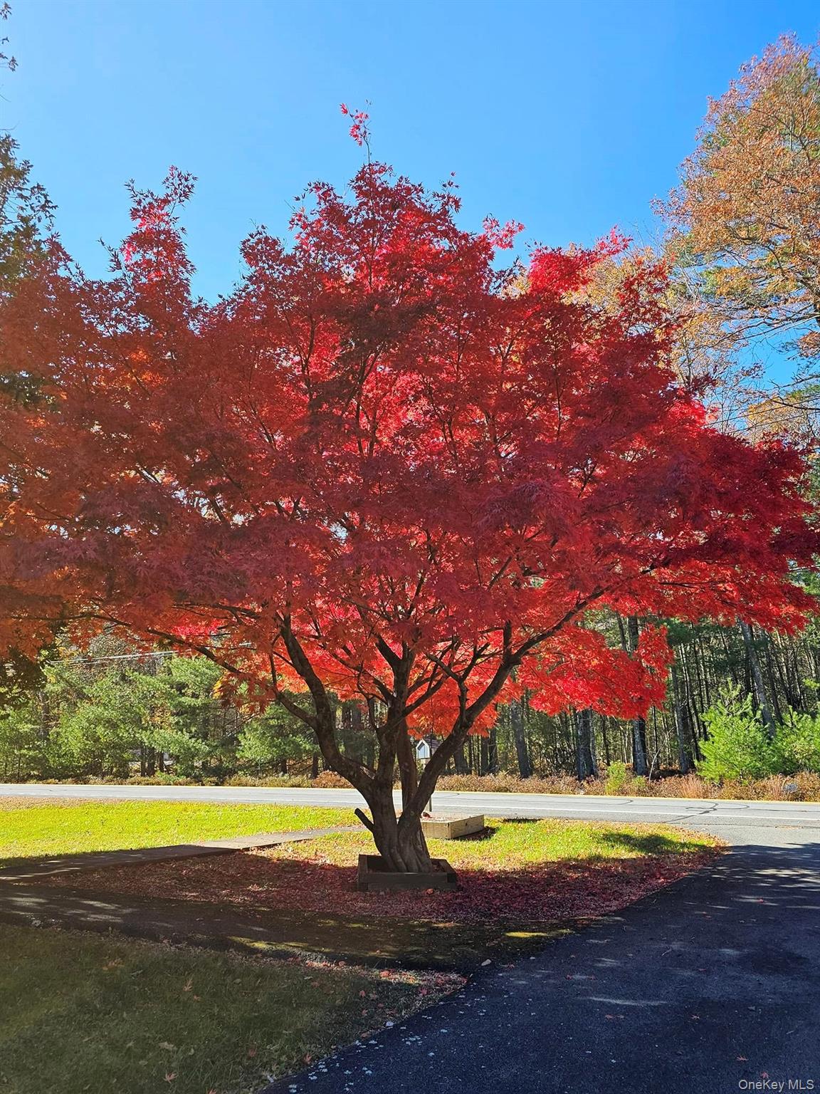 #8 photo, 107 Eldred Yulan Road, Eldred , NY 12732