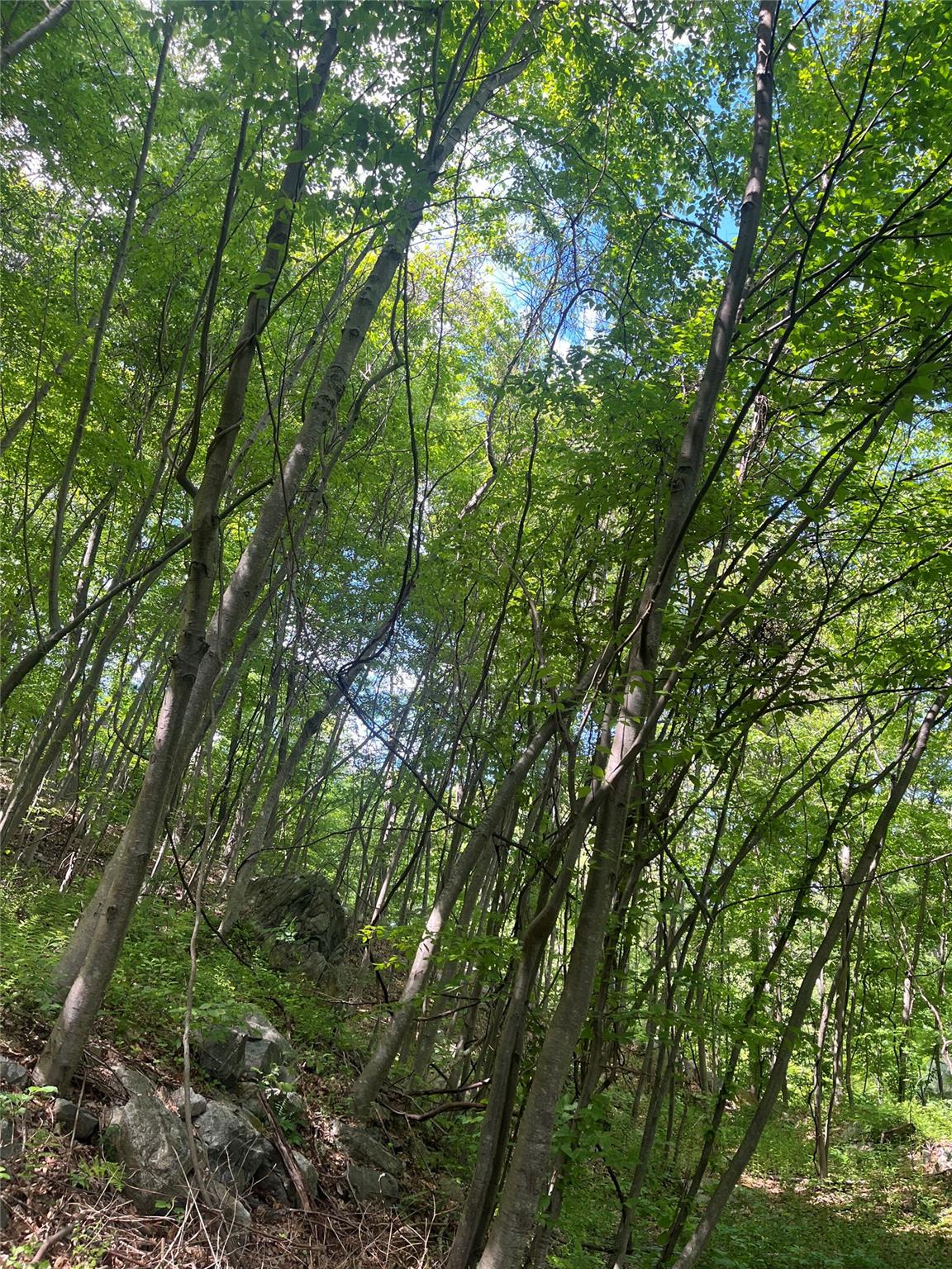 #10 photo, Old Church Road, Putnam Valley , NY 10579