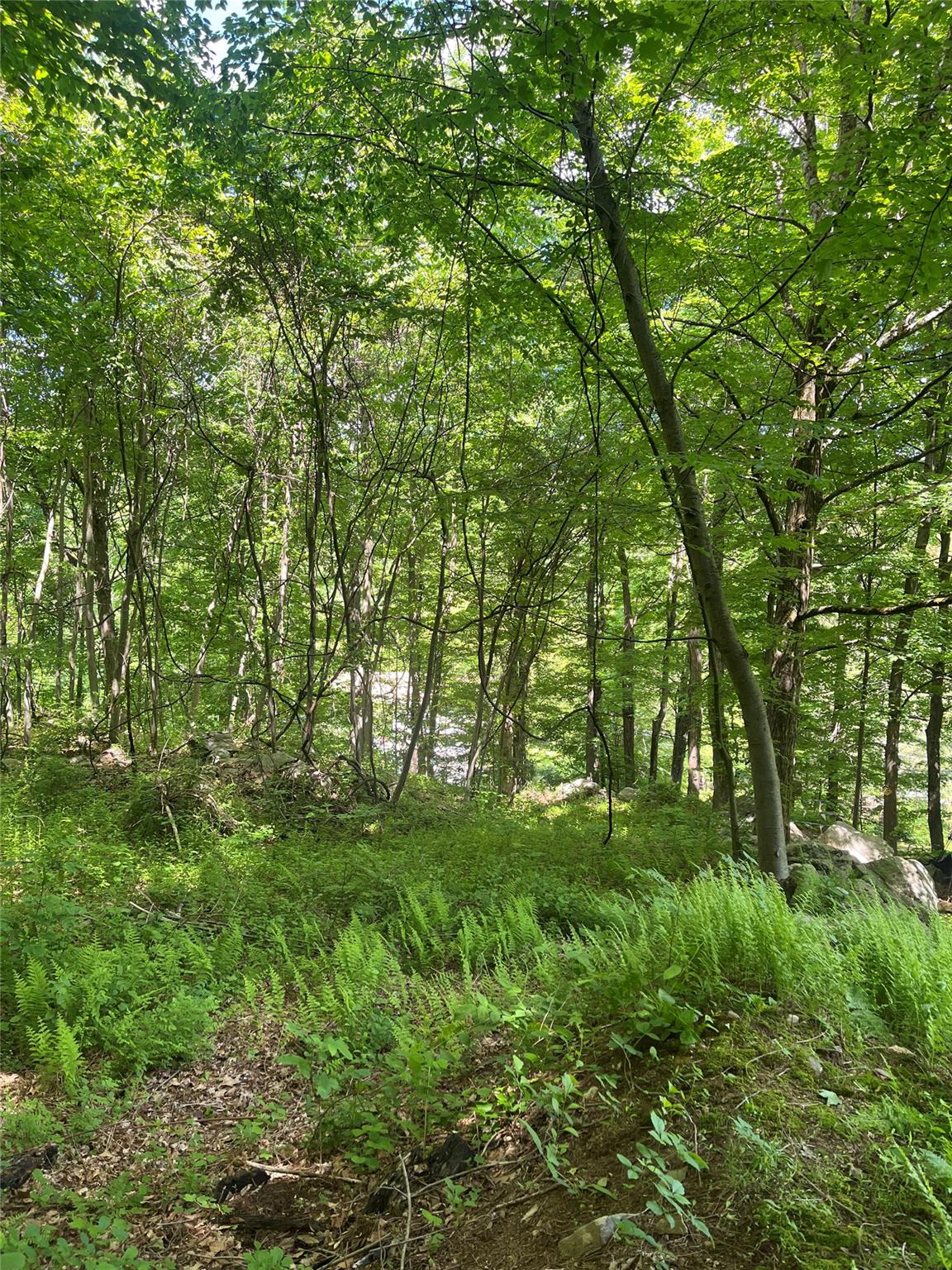 #11 photo, Old Church Road, Putnam Valley , NY 10579