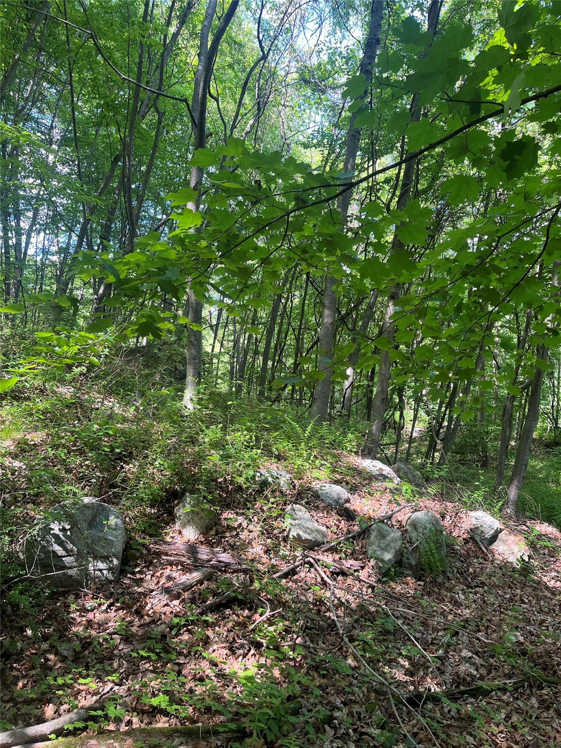 #12 photo, Old Church Road, Putnam Valley , NY 10579