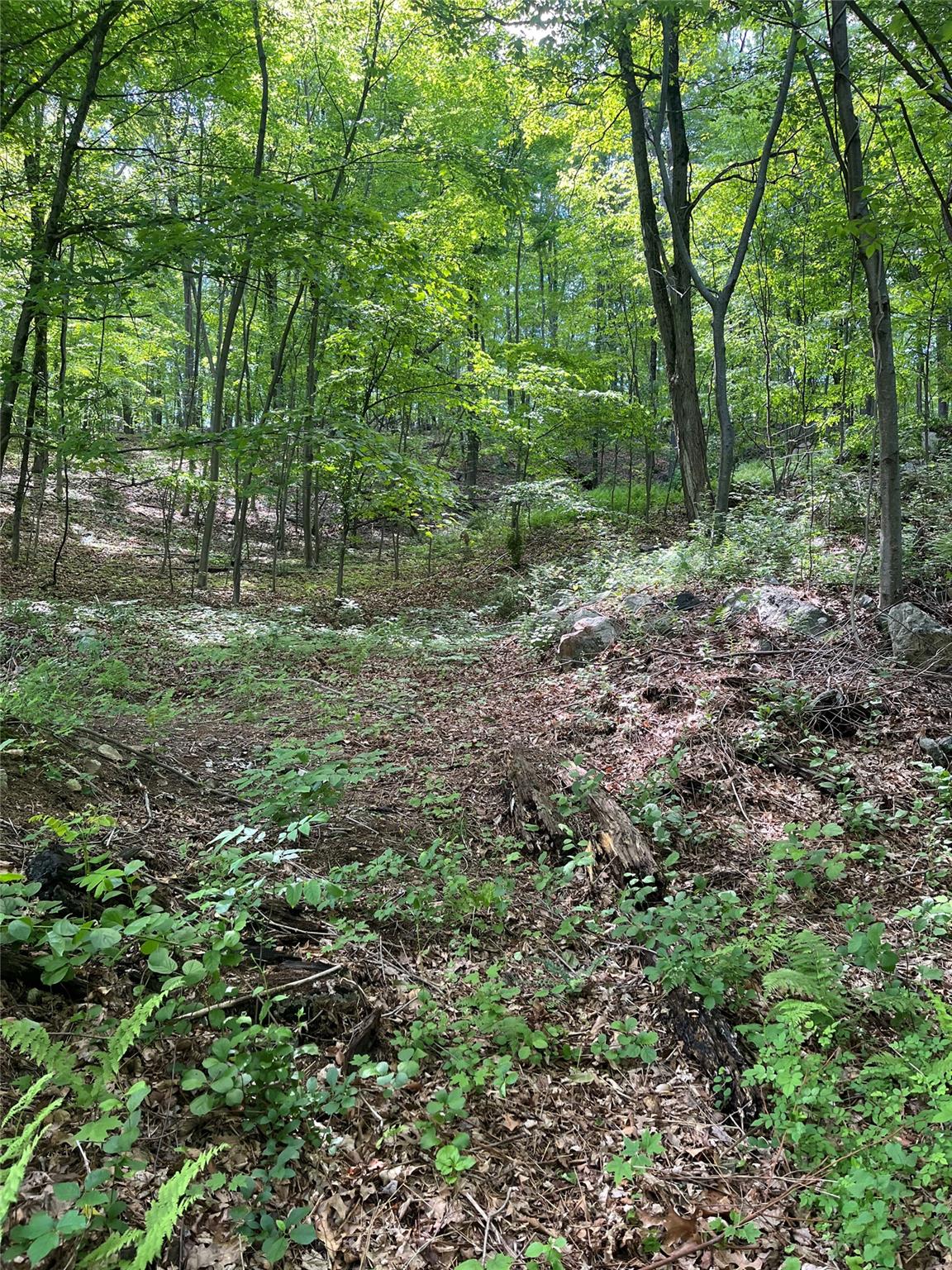 #13 photo, Old Church Road, Putnam Valley , NY 10579