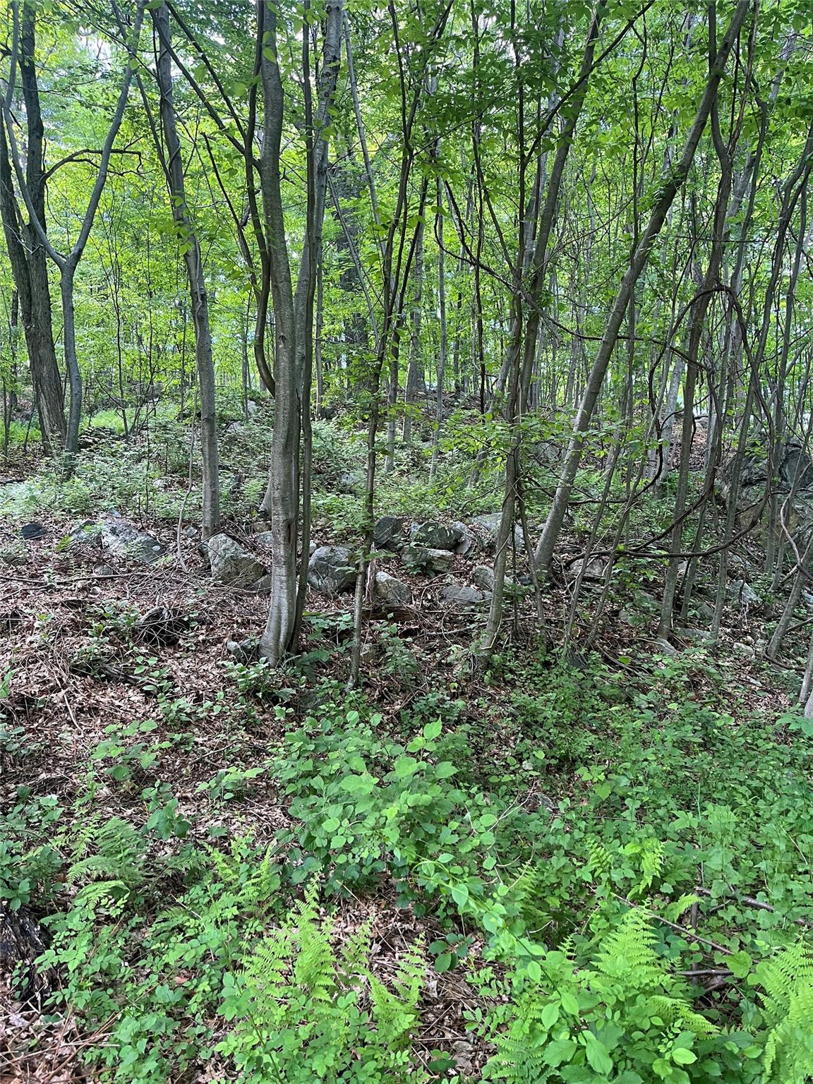 #14 photo, Old Church Road, Putnam Valley , NY 10579