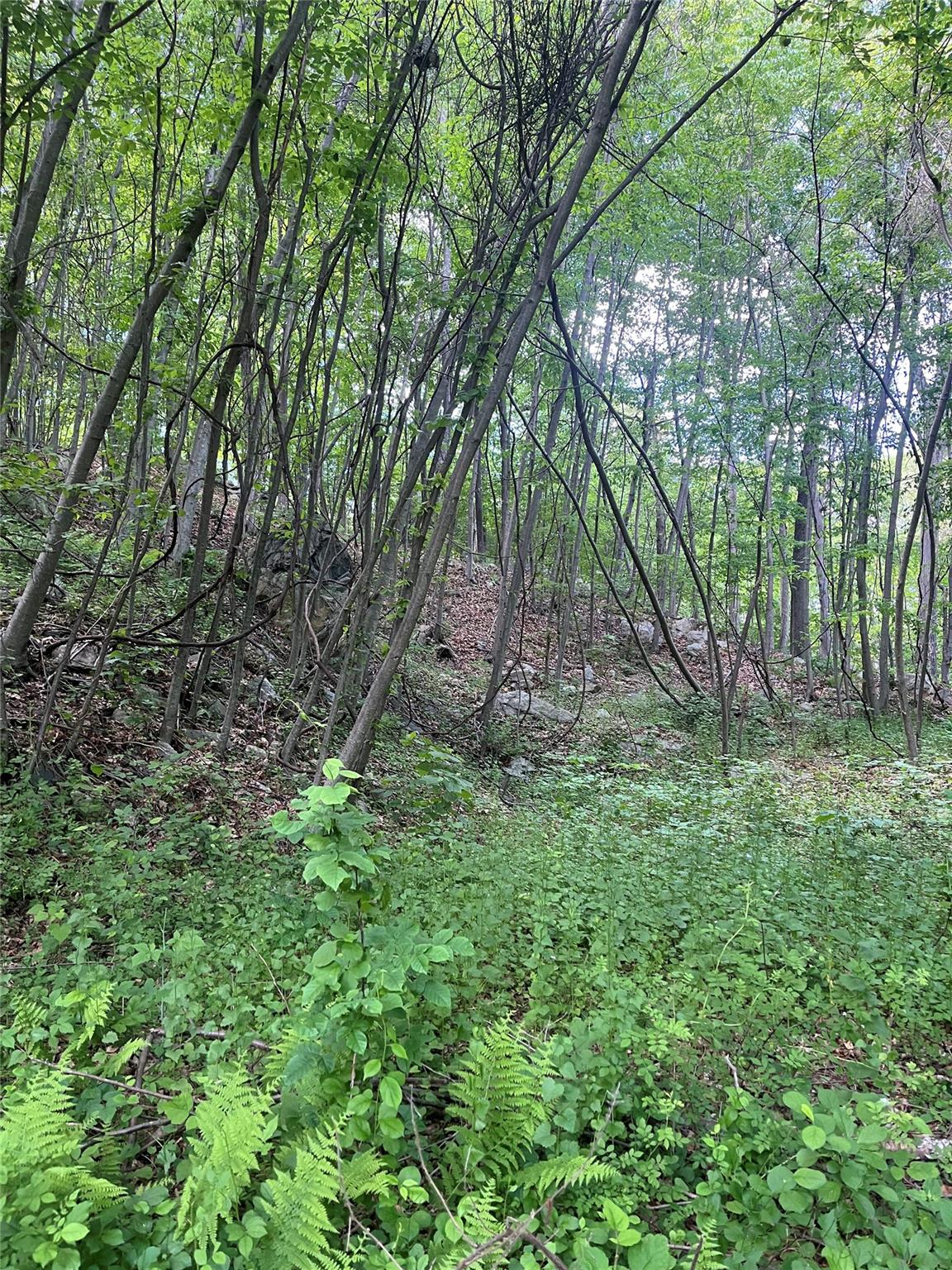 #15 photo, Old Church Road, Putnam Valley , NY 10579