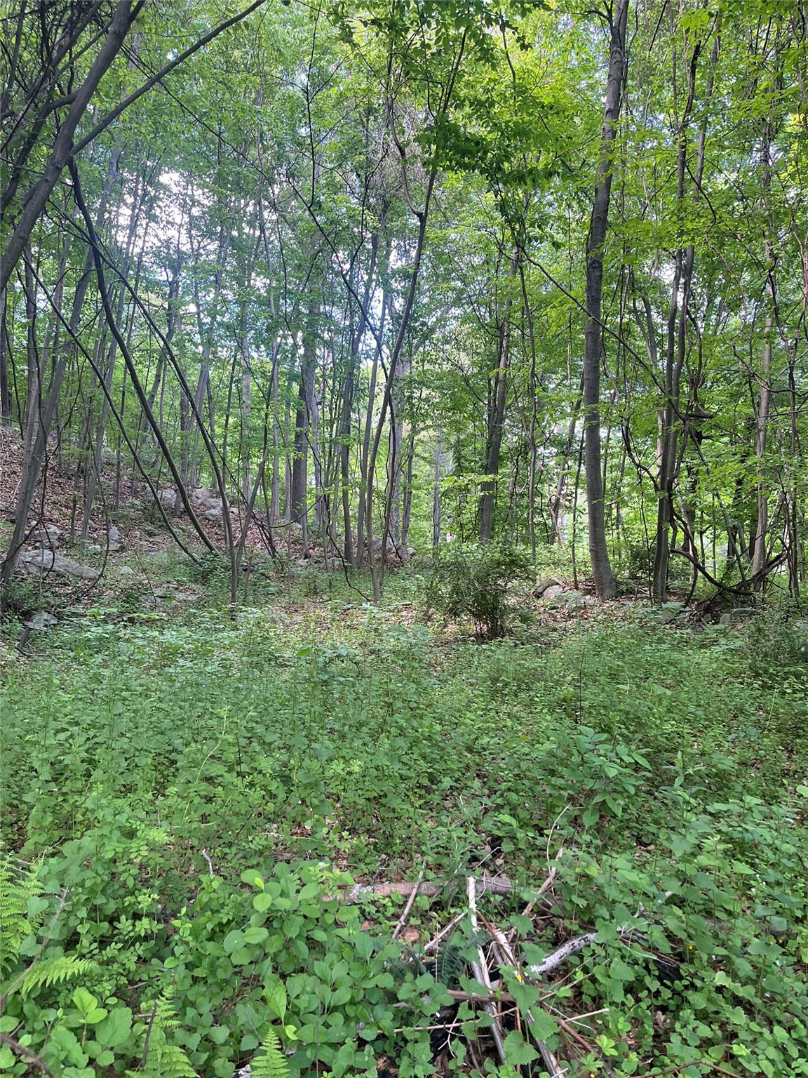 #16 photo, Old Church Road, Putnam Valley , NY 10579