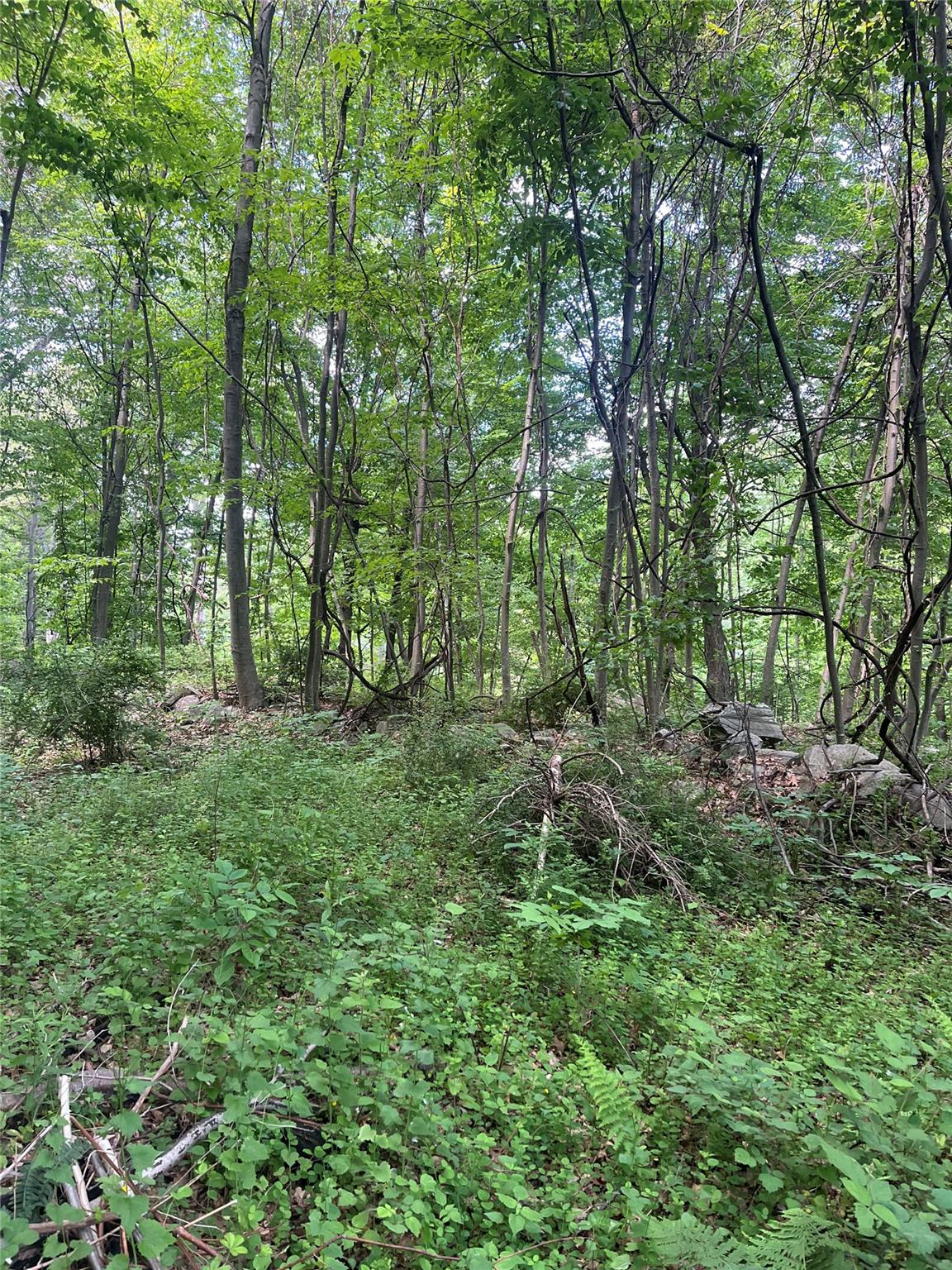 #17 photo, Old Church Road, Putnam Valley , NY 10579