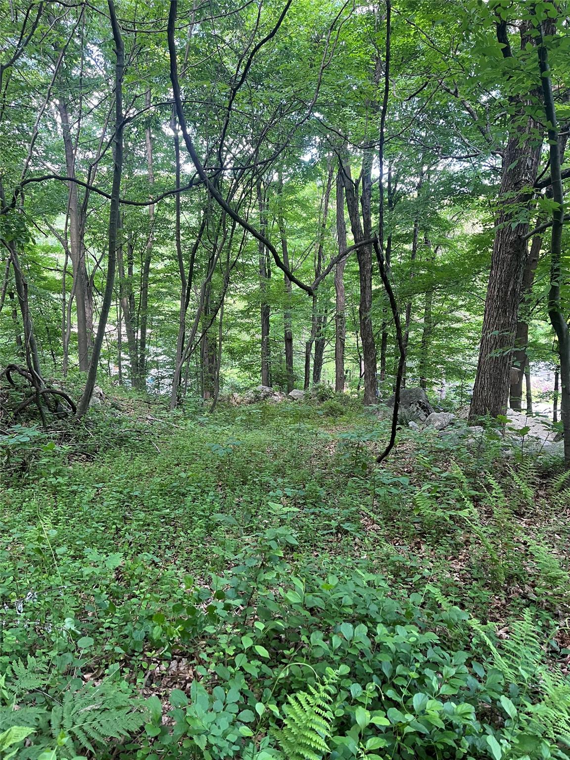 #18 photo, Old Church Road, Putnam Valley , NY 10579