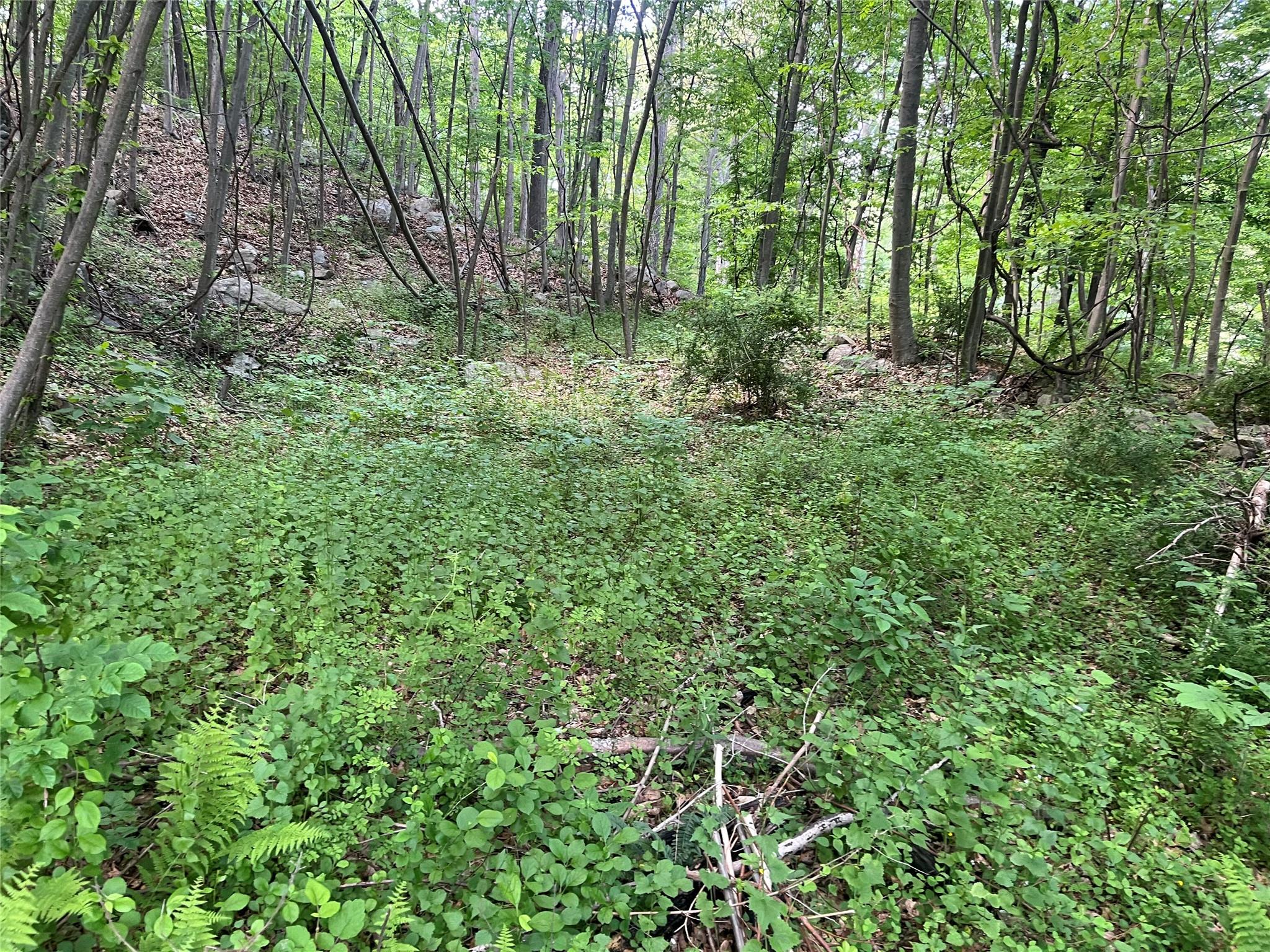 #19 photo, Old Church Road, Putnam Valley , NY 10579