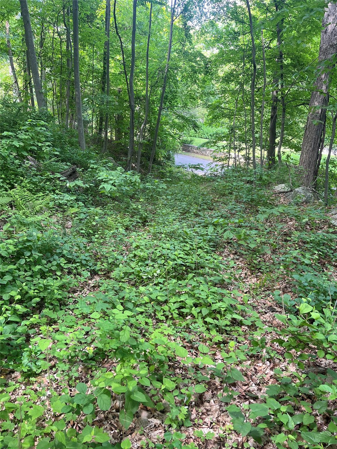 #2 photo, Old Church Road, Putnam Valley , NY 10579