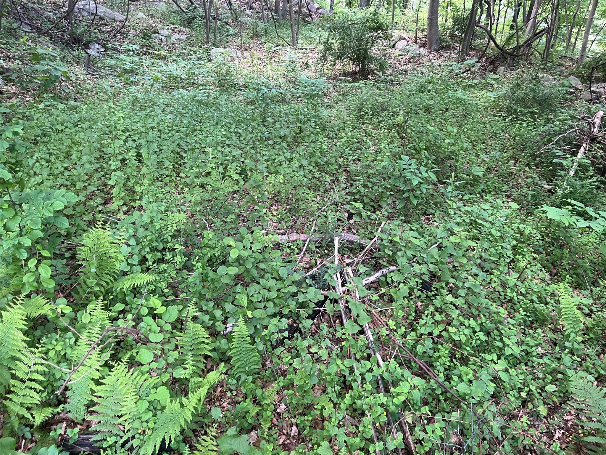 #20 photo, Old Church Road, Putnam Valley , NY 10579