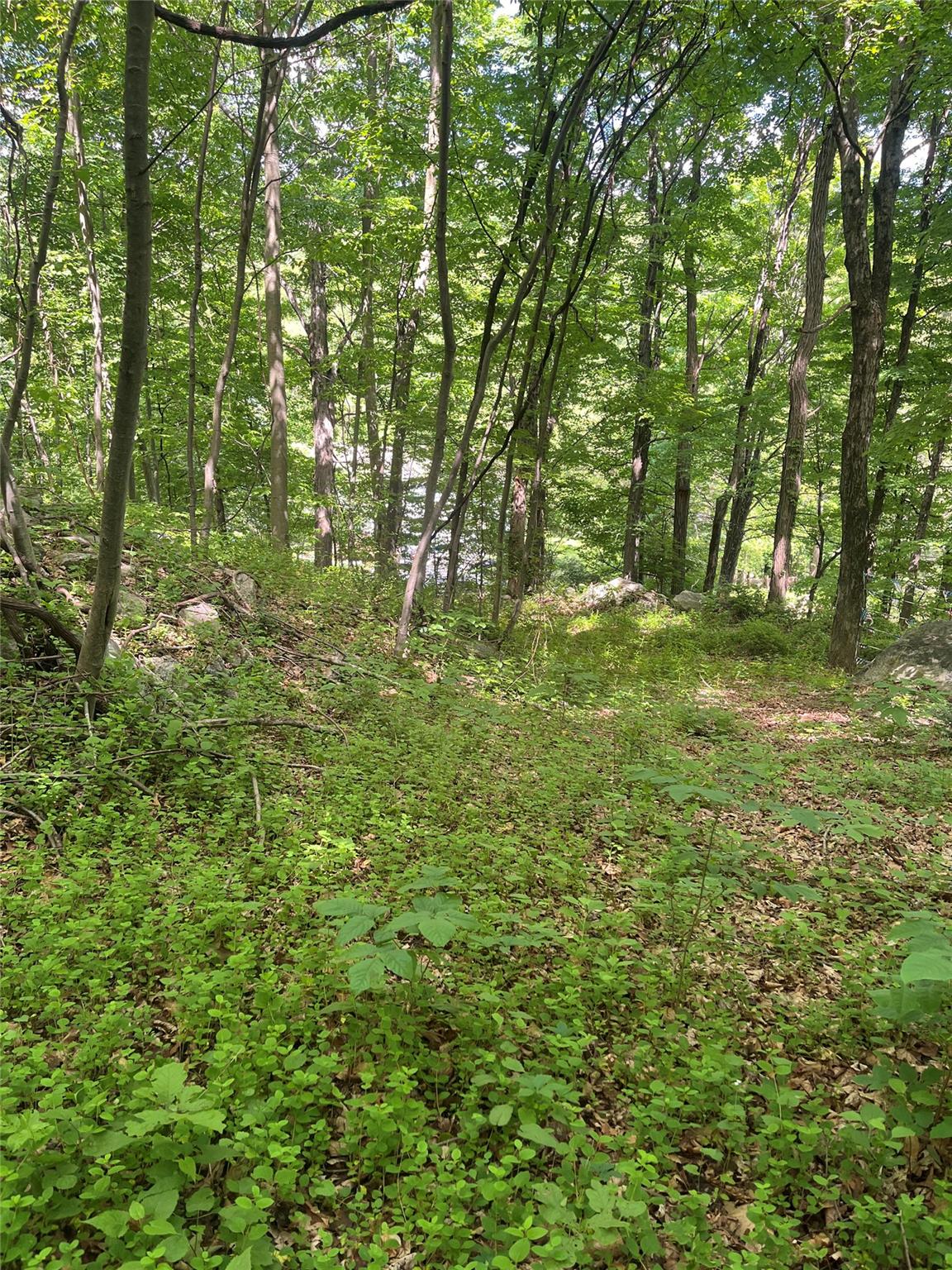 #3 photo, Old Church Road, Putnam Valley , NY 10579