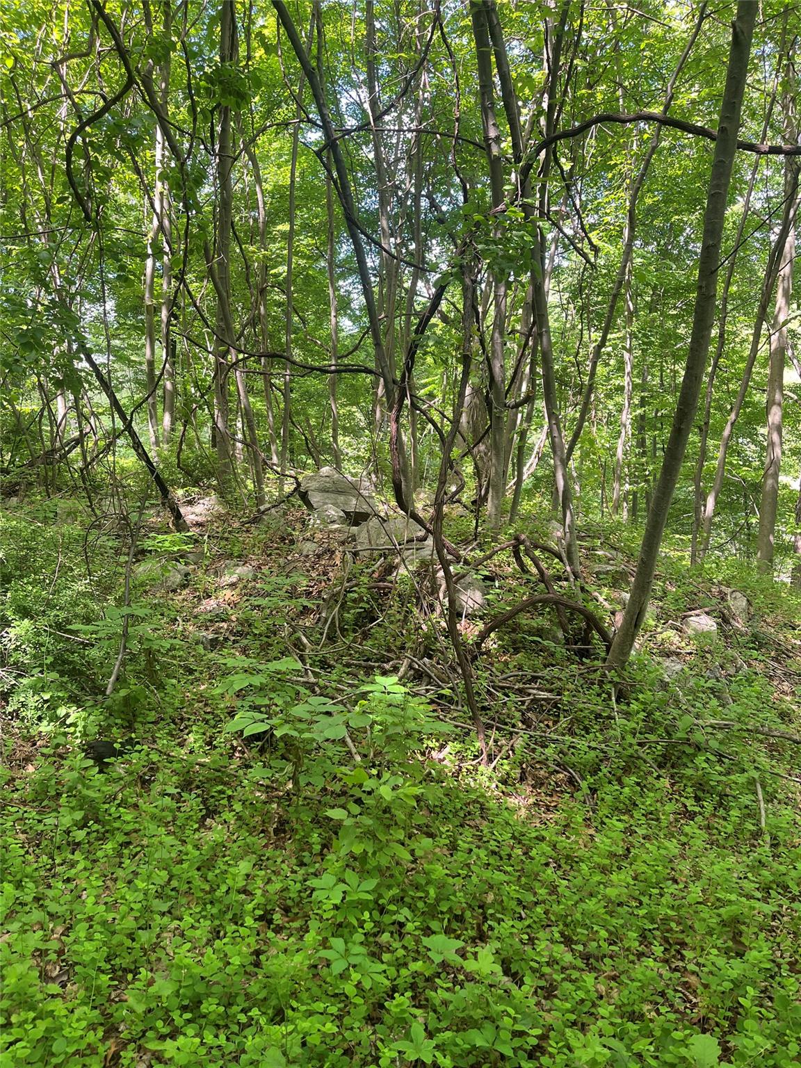 #5 photo, Old Church Road, Putnam Valley , NY 10579