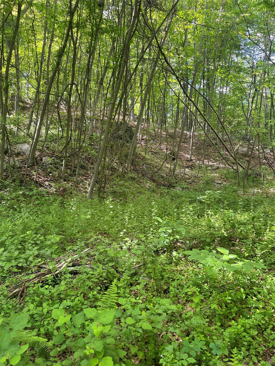 #6 photo, Old Church Road, Putnam Valley , NY 10579