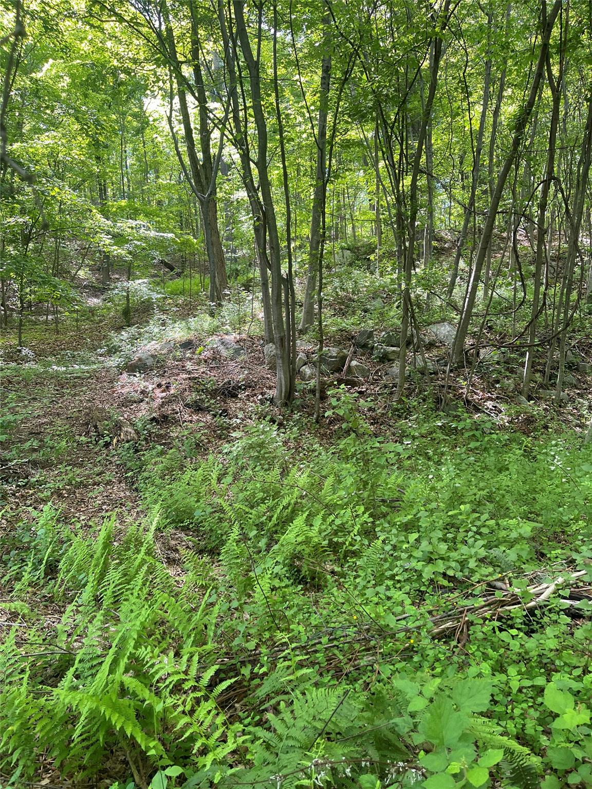 #7 photo, Old Church Road, Putnam Valley , NY 10579