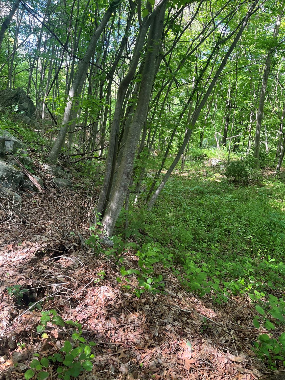 #8 photo, Old Church Road, Putnam Valley , NY 10579