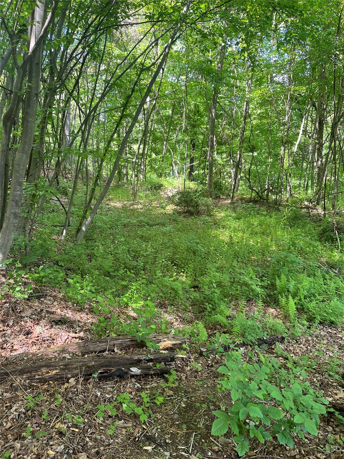 #9 photo, Old Church Road, Putnam Valley , NY 10579