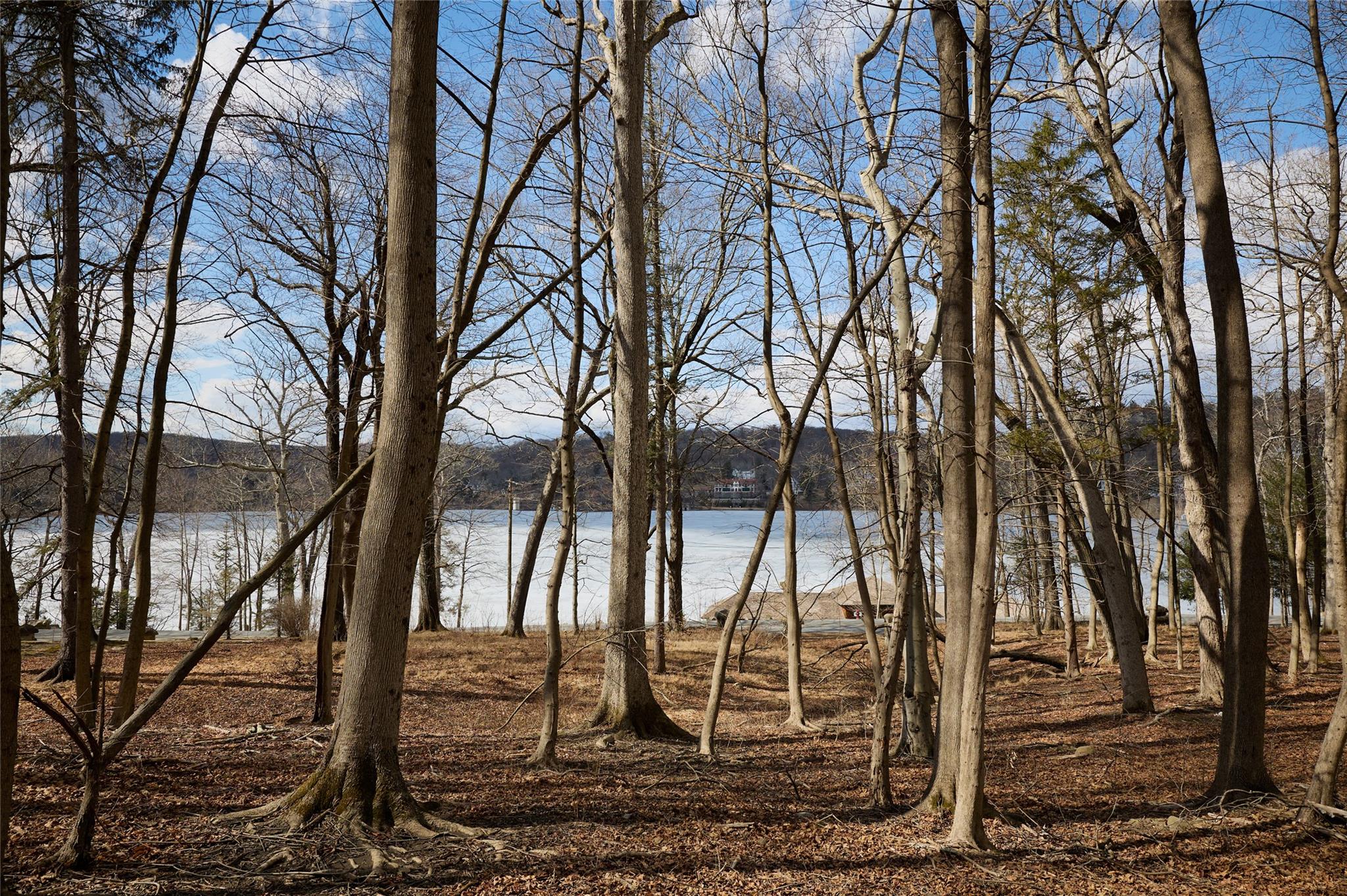 #10 photo, 288 Tuxedo Road, Tuxedo Park , NY 10987