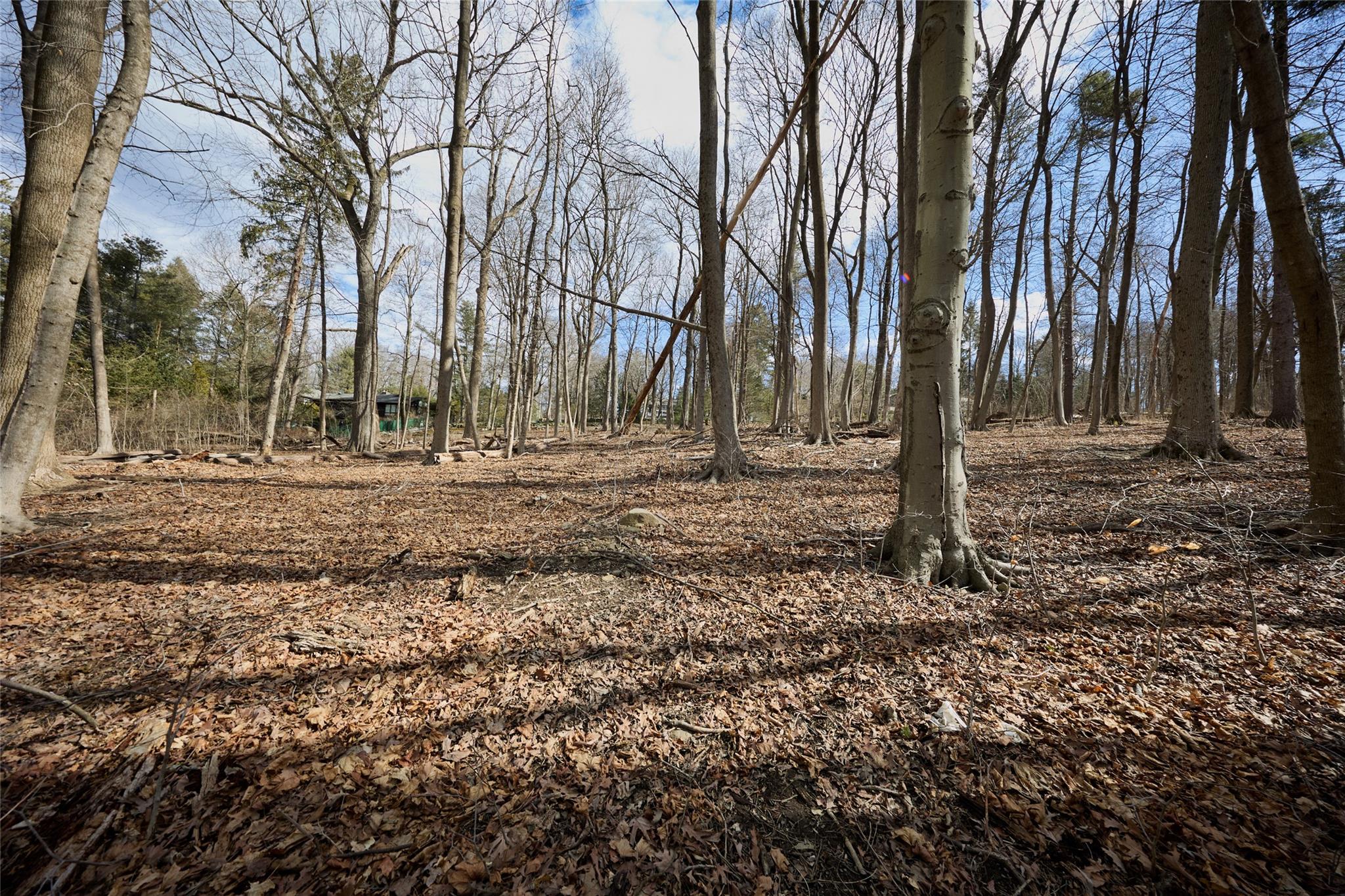 #6 photo, 288 Tuxedo Road, Tuxedo Park , NY 10987