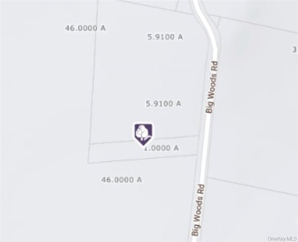 #3 photo, Big Woods Road, Harris , NY 12742