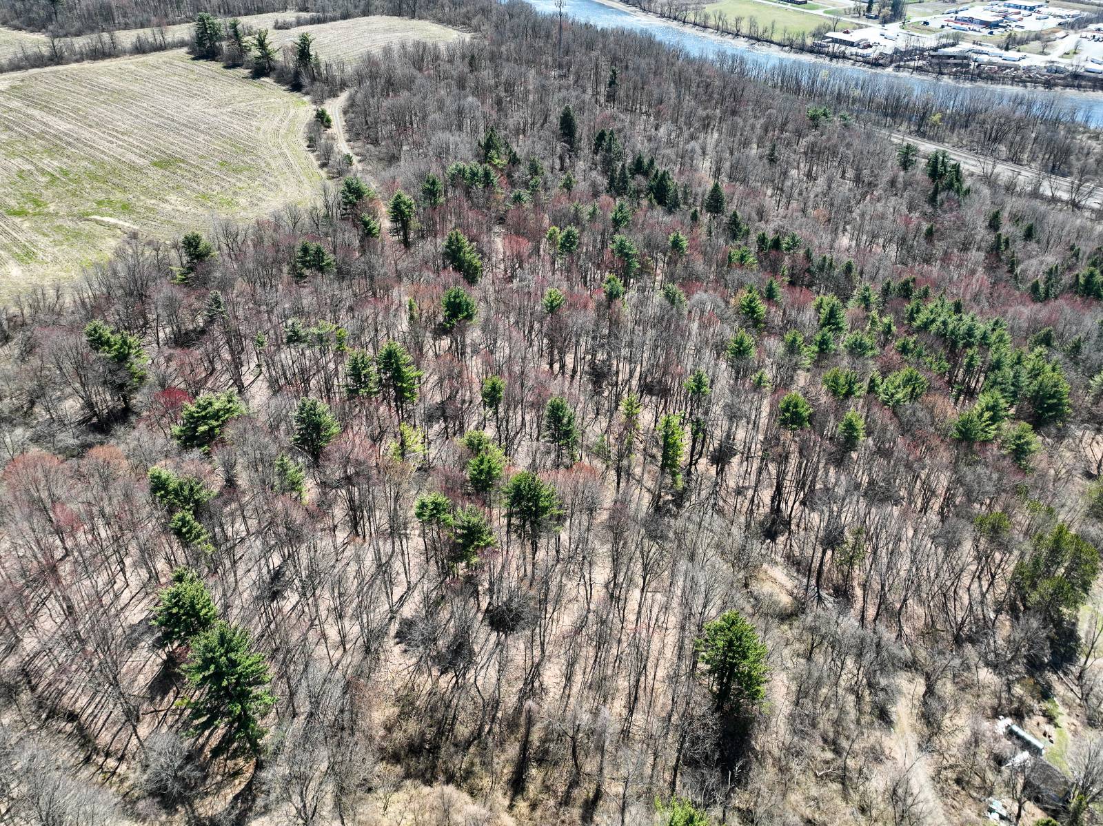 #14 photo, L24.2 Switzer Hill Rd, Mohawk , NY 12068