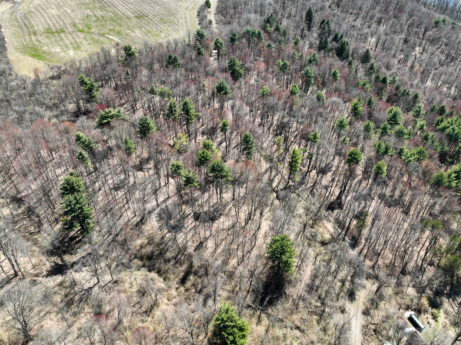 #15 photo, L24.2 Switzer Hill Rd, Mohawk , NY 12068