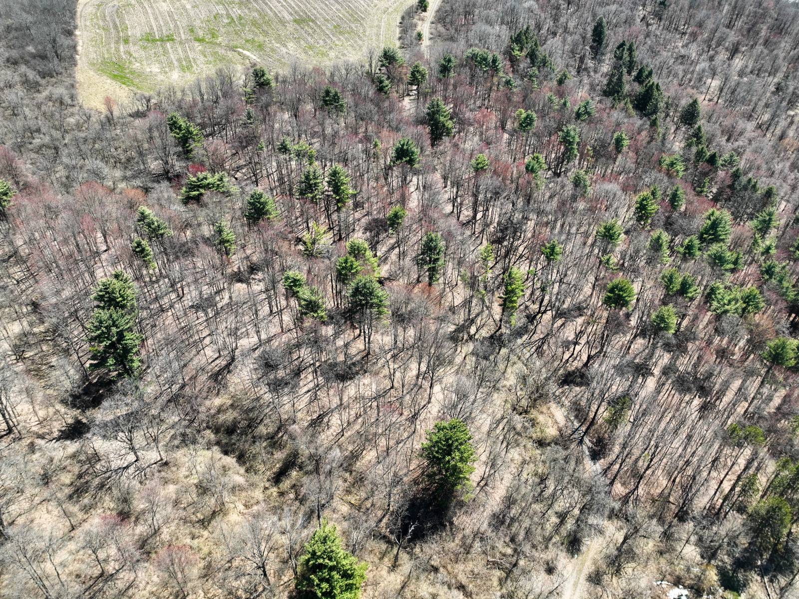 #16 photo, L24.2 Switzer Hill Rd, Mohawk , NY 12068