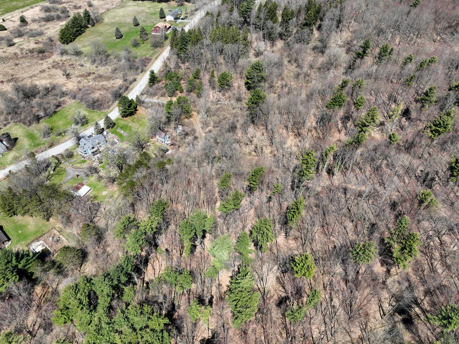 #17 photo, L24.2 Switzer Hill Rd, Mohawk , NY 12068