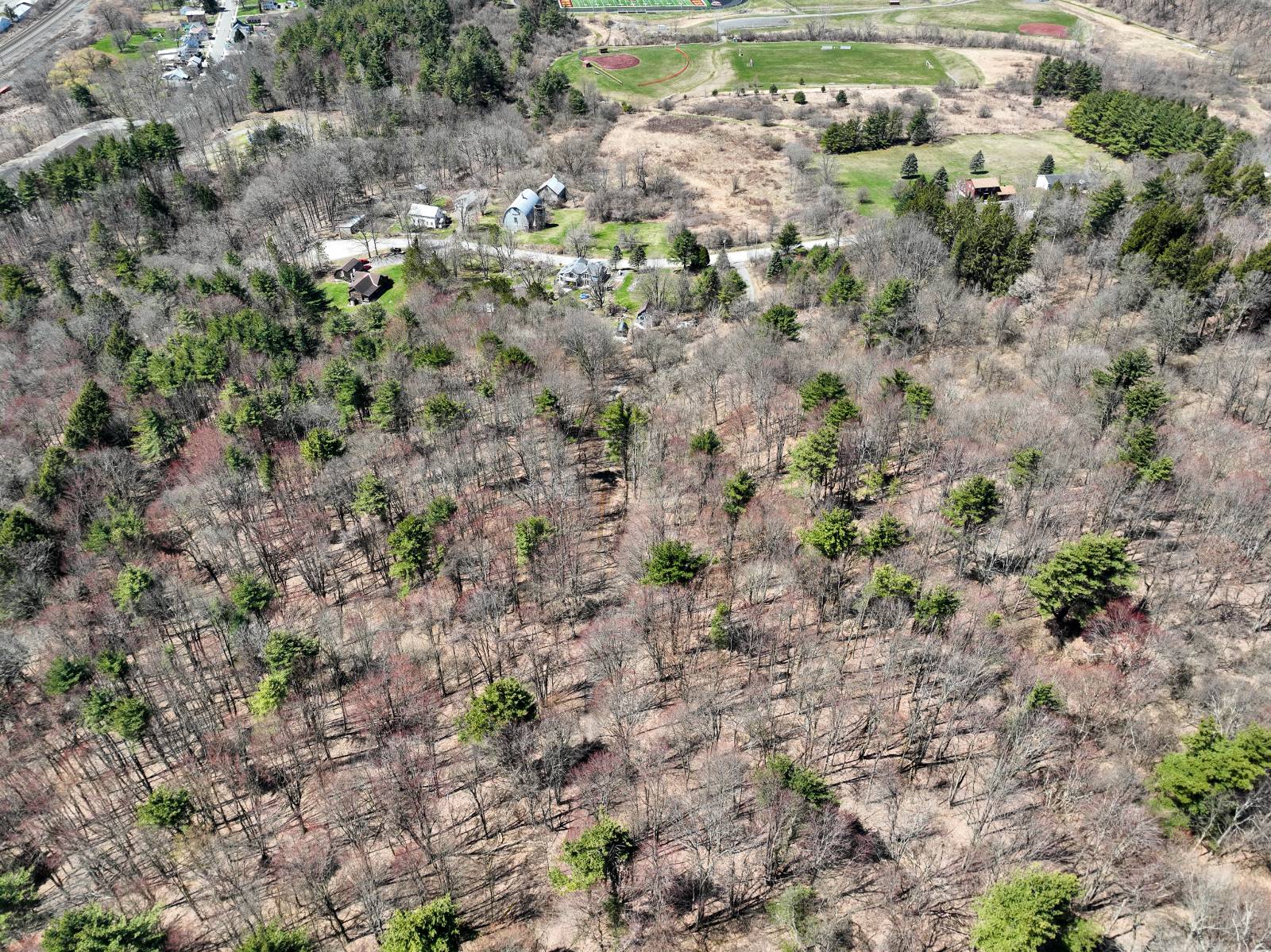 #31 photo, L24.2 Switzer Hill Rd, Mohawk , NY 12068