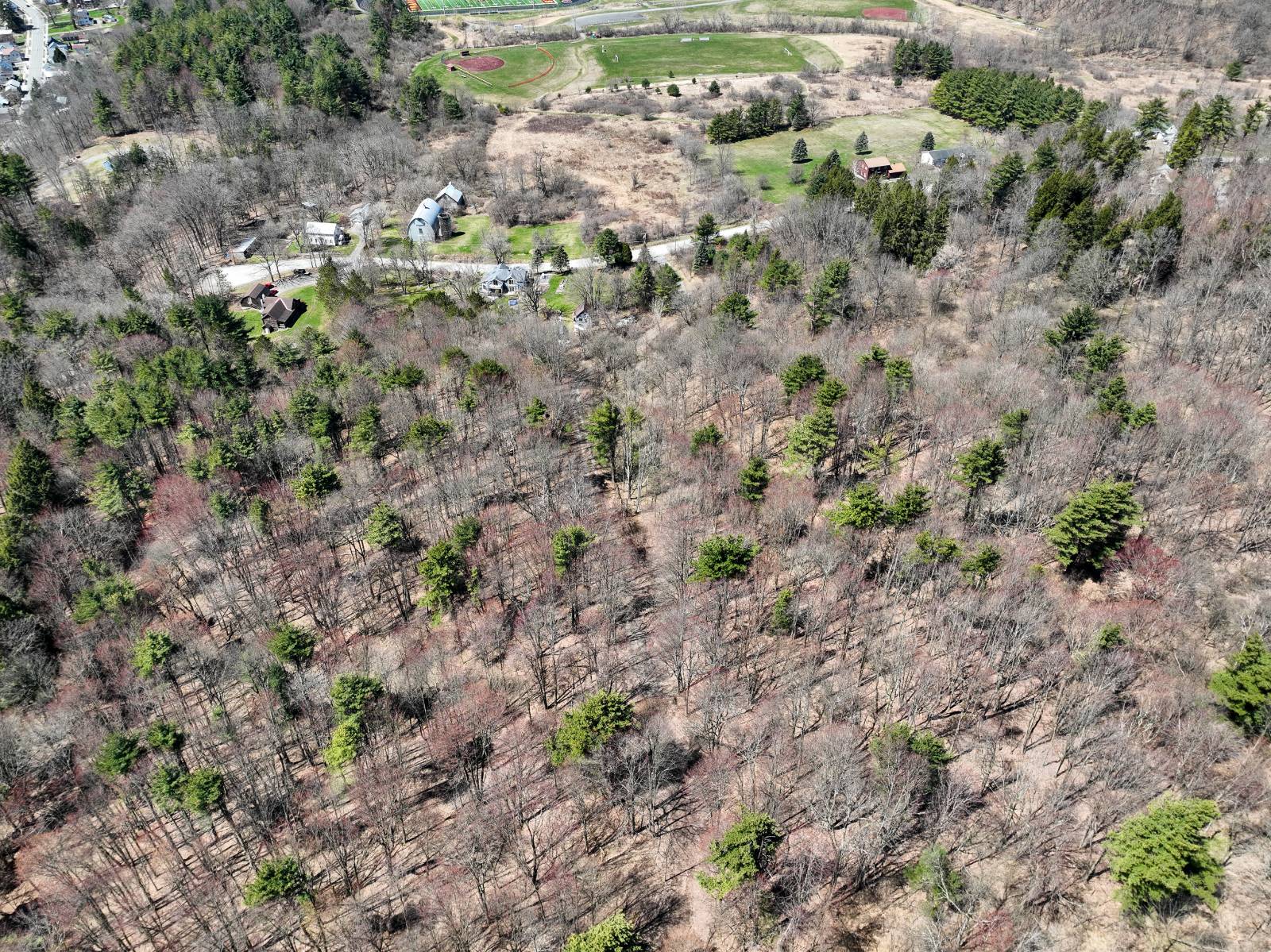 #32 photo, L24.2 Switzer Hill Rd, Mohawk , NY 12068