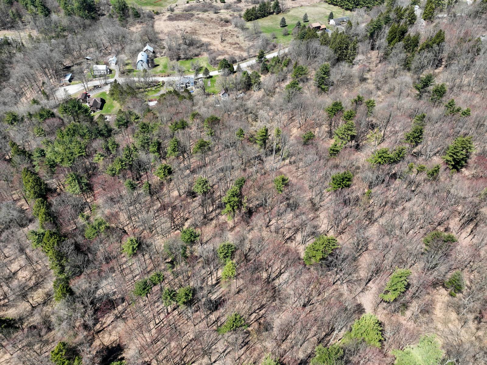 #33 photo, L24.2 Switzer Hill Rd, Mohawk , NY 12068