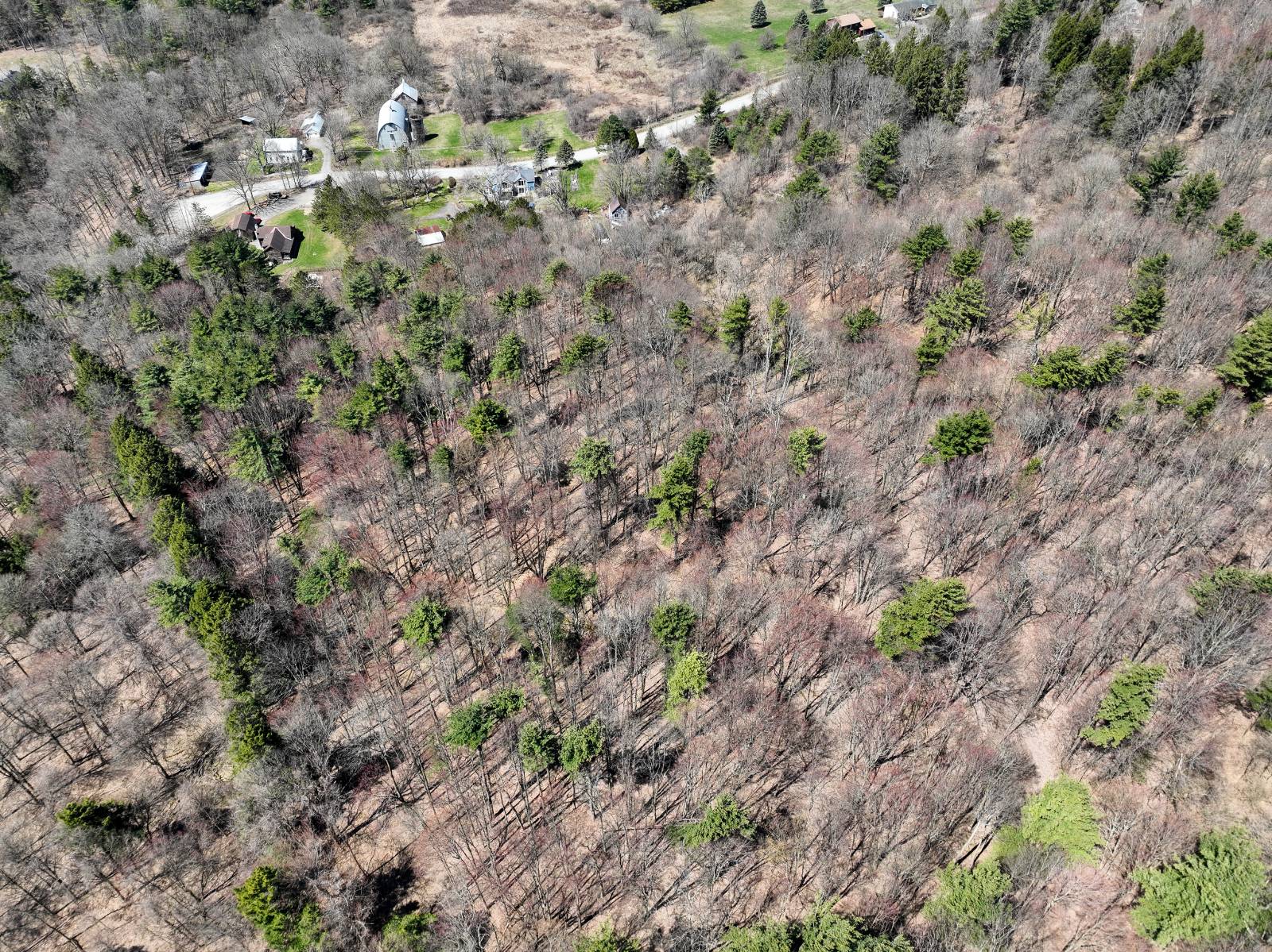 #34 photo, L24.2 Switzer Hill Rd, Mohawk , NY 12068