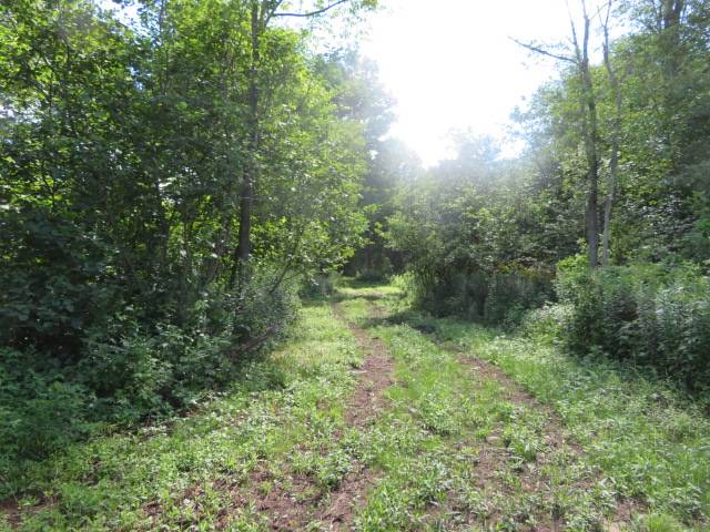 #10 photo, 0 North Rd, West Turin , NY 13325