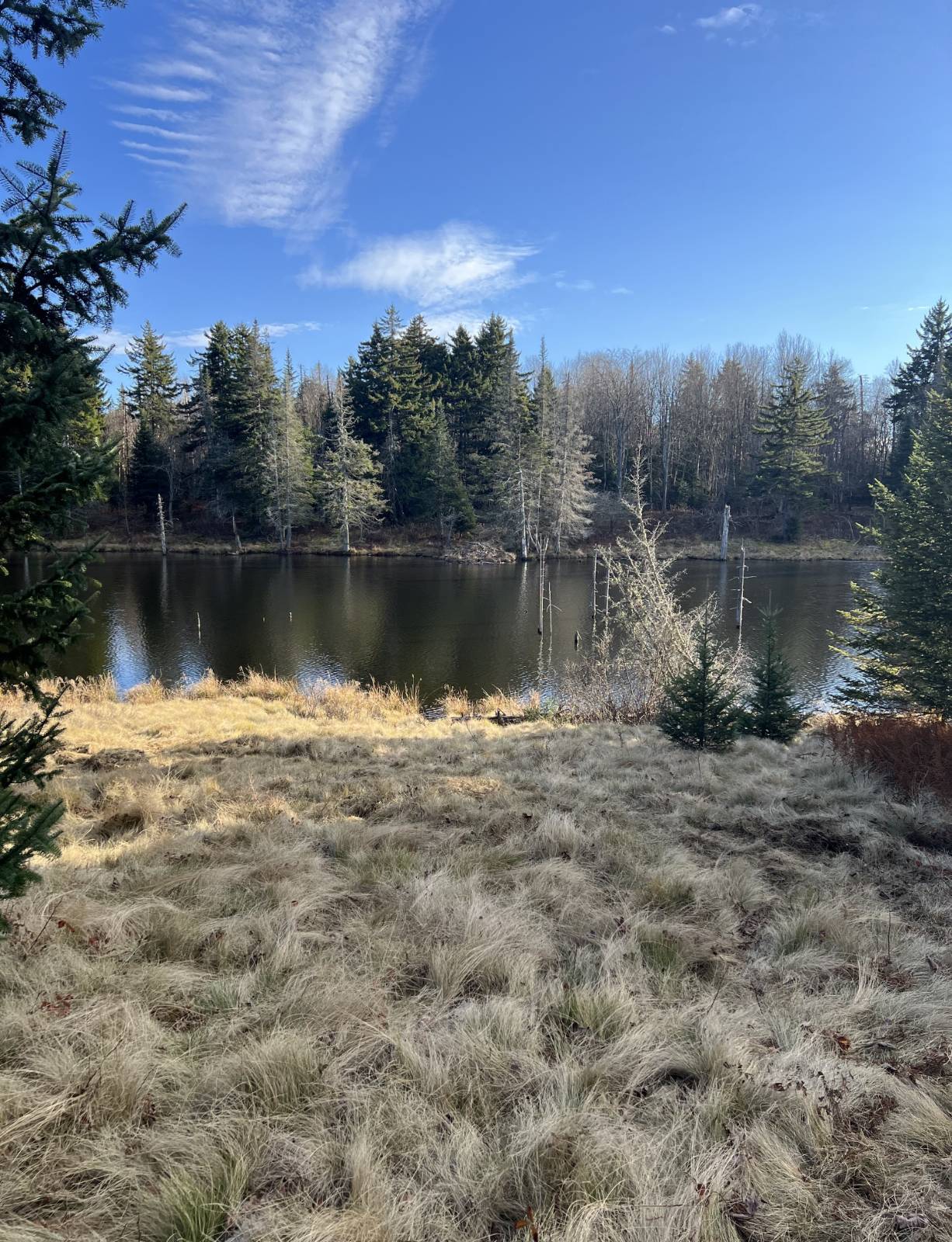 #12 photo, 0 North Rd, West Turin , NY 13325