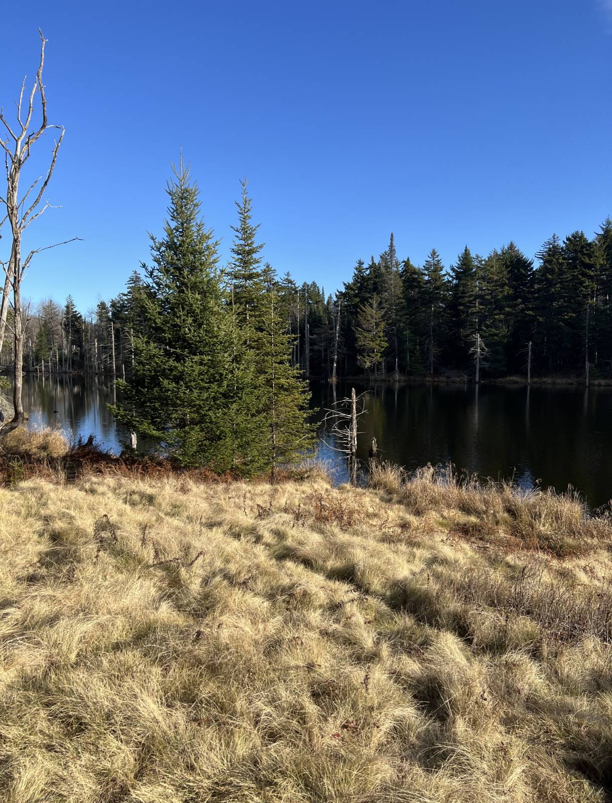 #13 photo, 0 North Rd, West Turin , NY 13325